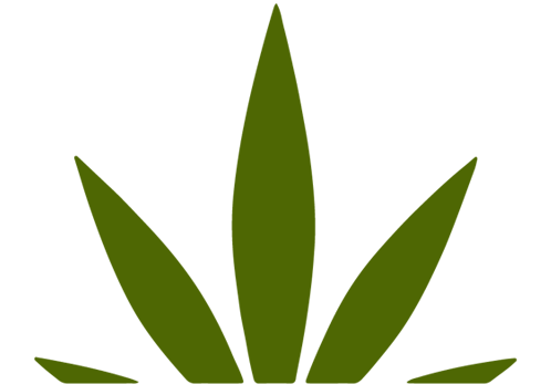 Moroccan International CBD Laboratory Company